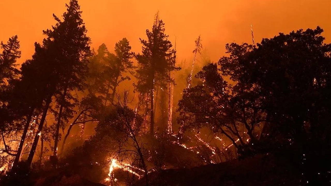 Orman yangınları iki gündür devam ediyor: 700 kişi tahliye edildi