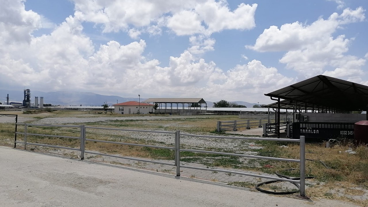 Konya’nın bu ilçesindeki hayvan pazarı tedbir amaçlı faaliyete kapatıldı