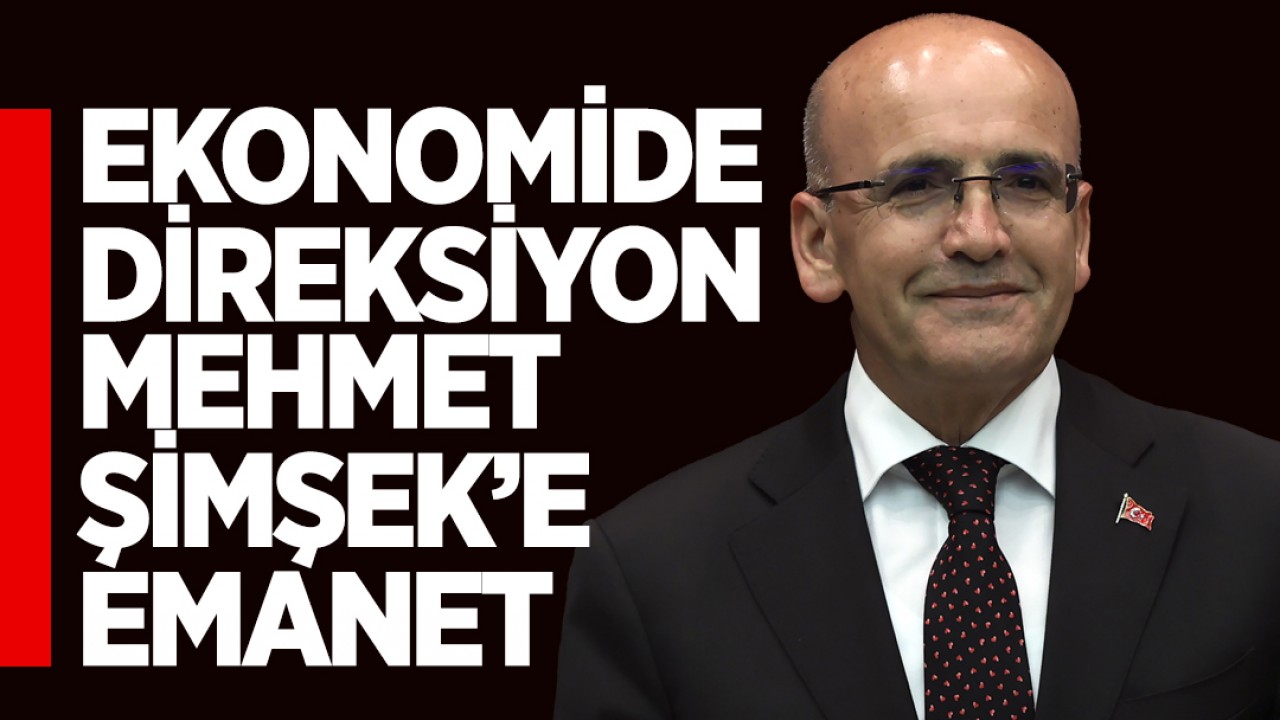 Hazine ve Maliye Bakanı Mehmet Şimşek oldu: Mehmet Şimşek kimdir?