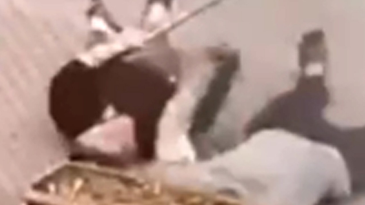 Papağanı kurtarmak isterken elektrik akımına kapıldı