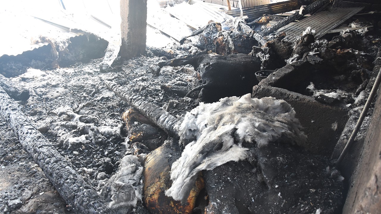 15 büyükbaşın öldüğü ahırdaki yangında detaylar ortaya çıktı!