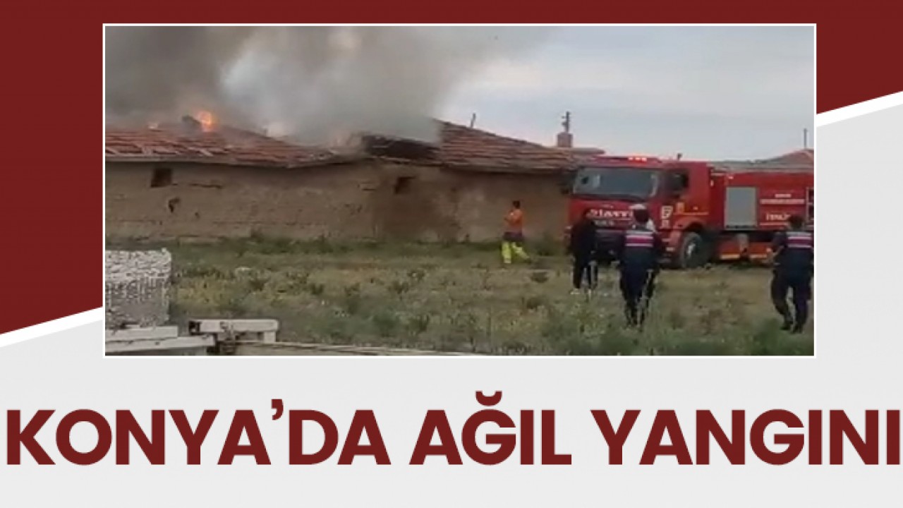 Konya’da ağıl yangını