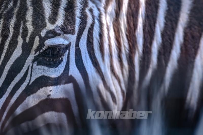 Konya’da güneşli hava