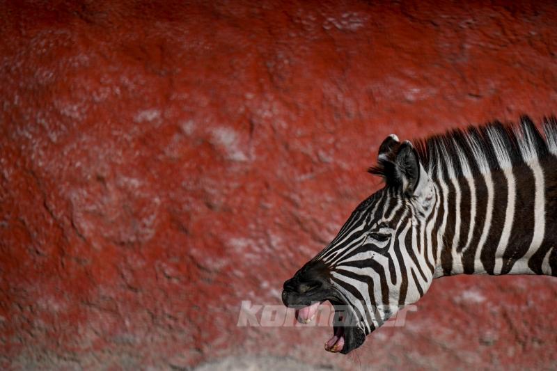 Konya’da güneşli hava