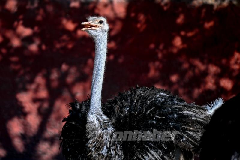 Konya’da güneşli hava