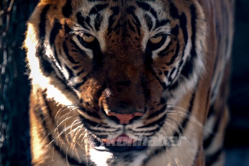 Konya’da güneşli hava