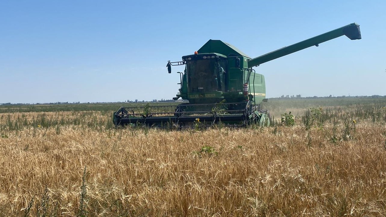 Adabağ’da yılın ilk organik tarım hasadı başladı