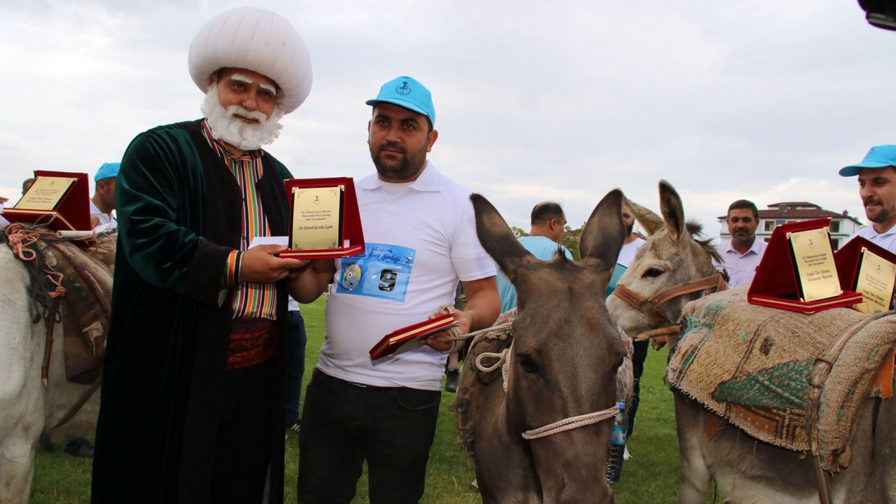 Eşekler birinci olmak için yarıştı