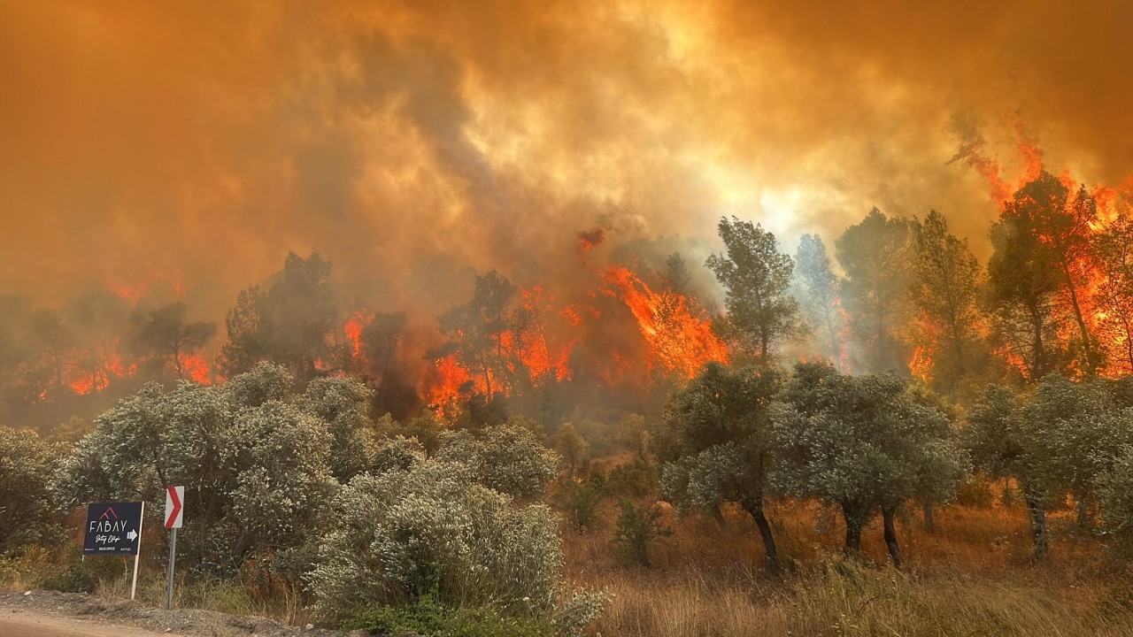 Muğla’da ormanlık alanda çıkan yangın kontrol altına alındı