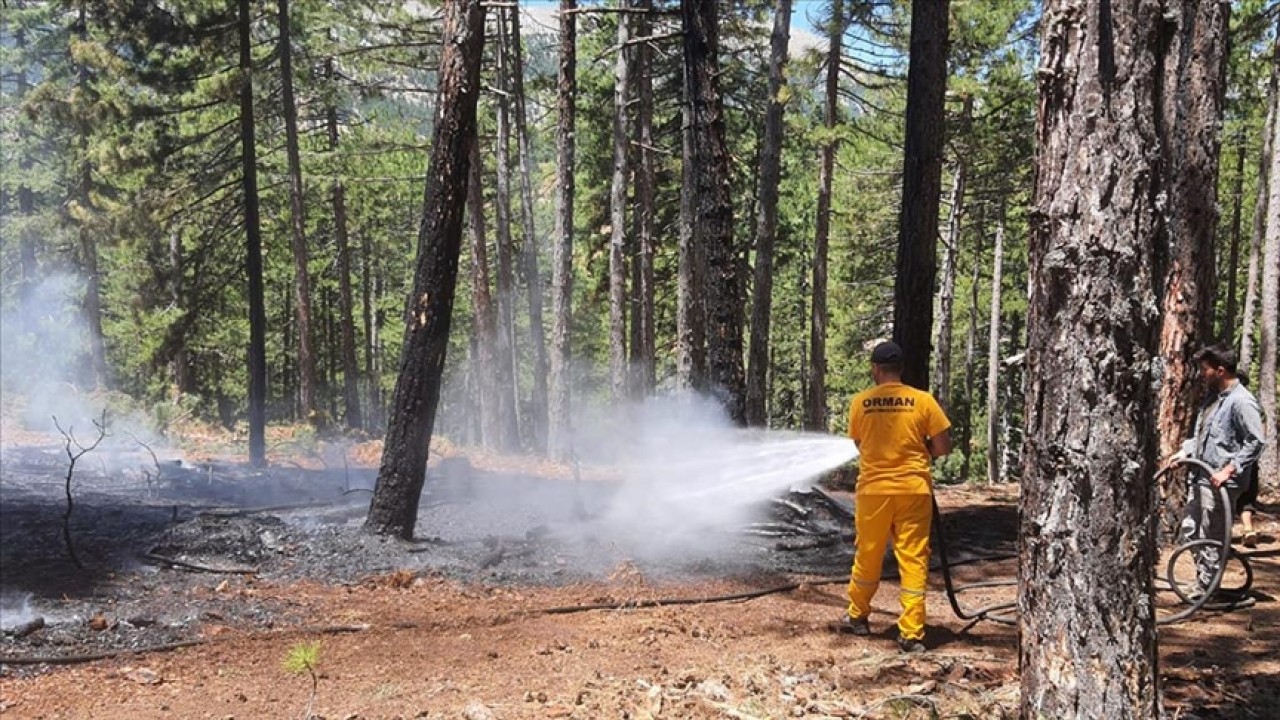 Adana’da çıkan iki orman yangını kontrol altına alındı
