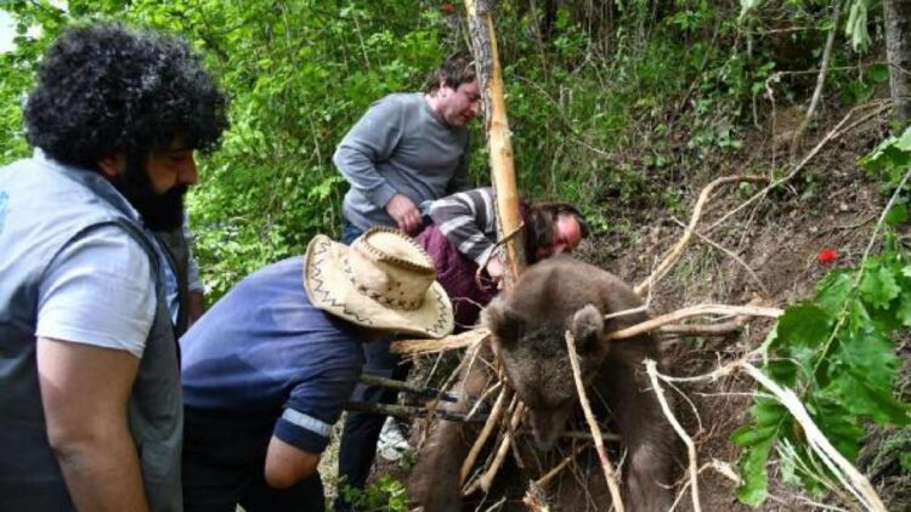 Köye inen ayılara 'devriye'li önlem