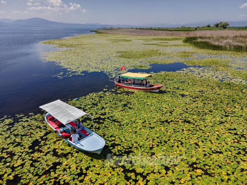 Beyşehir Gölü’nde balıkçı tekneleriyle gezilen nilüferler için tekne turları düzenleniyor