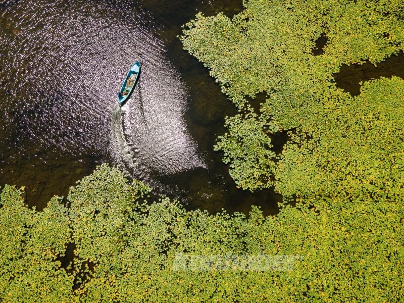 Beyşehir Gölü’nde balıkçı tekneleriyle gezilen nilüferler için tekne turları düzenleniyor