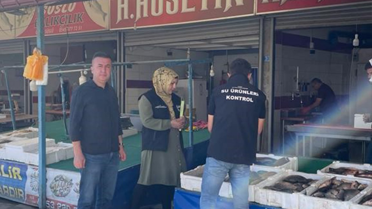 Beyşehir'de perakende balık satış noktaları denetlendi