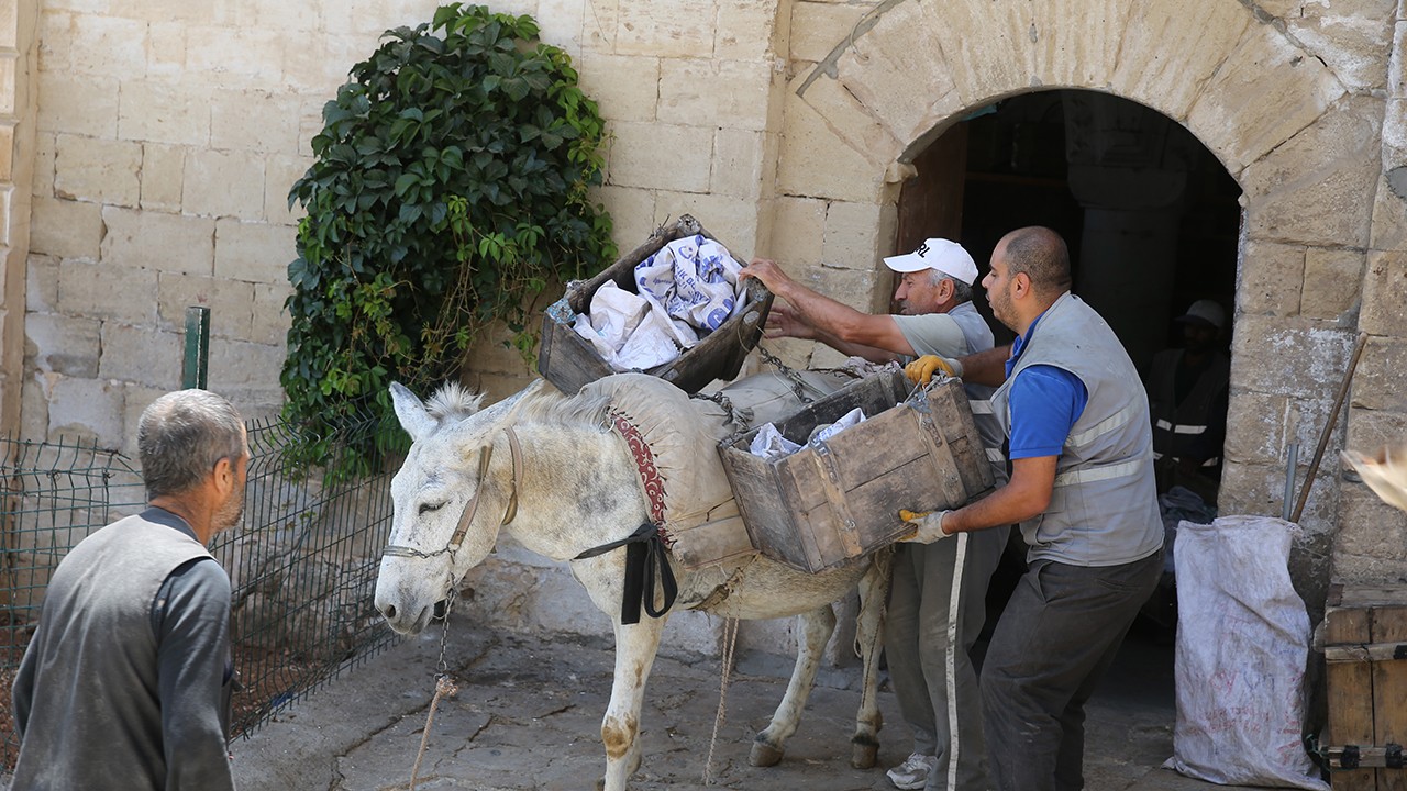 O şehrin eşekleri kadrolu: Çalışma süreleri 5 saat