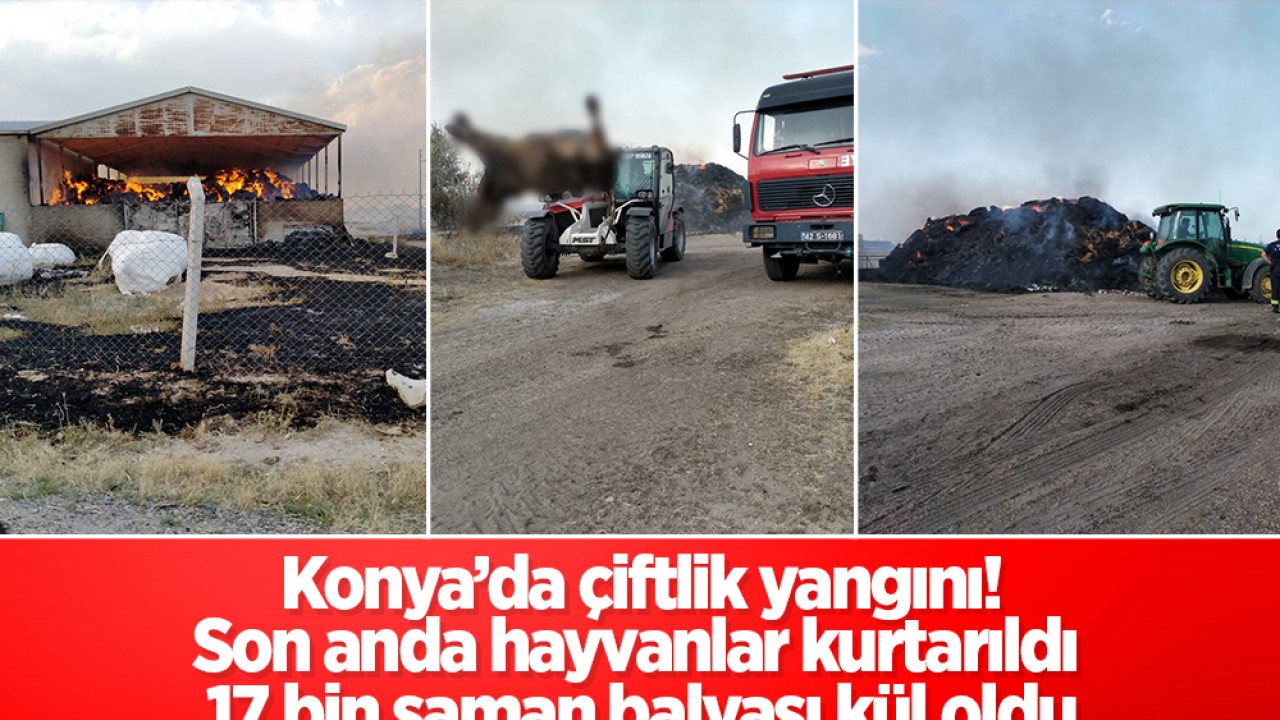 Konya’da büyük çiftlik yangını! 17 bin saman balyası kül oldu