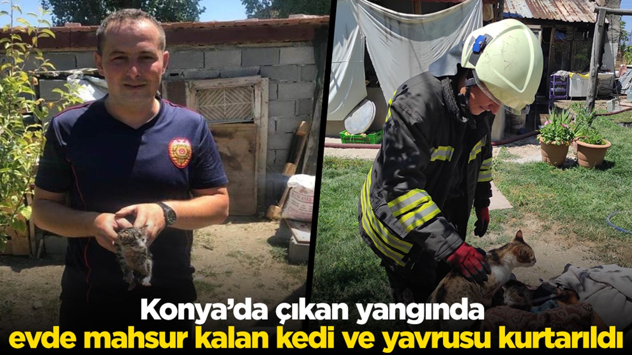 Konya'da çıkan yangında mahsur kalan kedi kurtarıldı