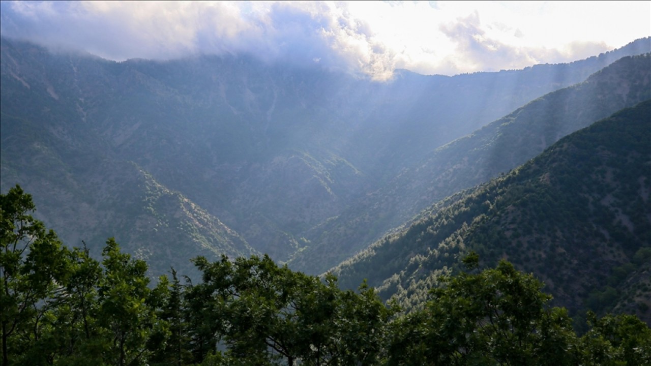 Gaziantep’teki ormanlık alanlara giriş yasağı 4 Eylül’e kadar uzatıldı