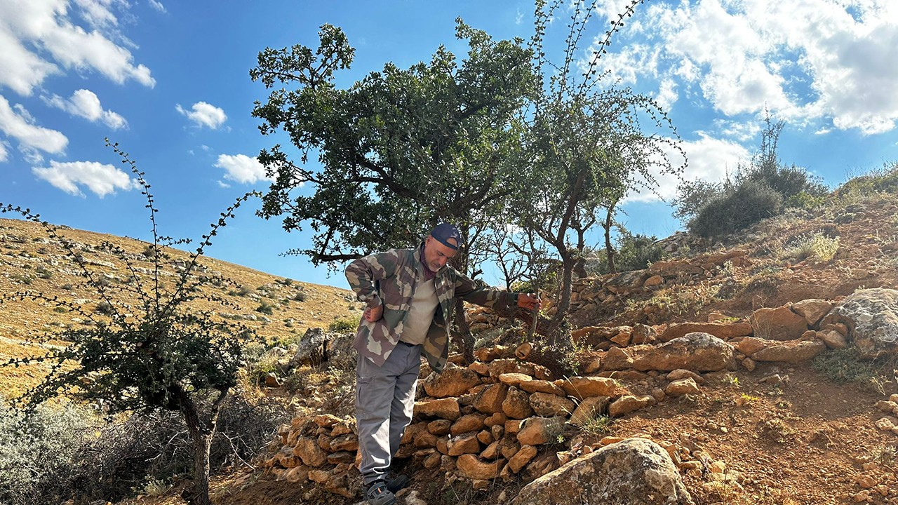 Konya’da gönüllü olarak bakımını üstlendiği ağaçları yeniden yeşertiyor