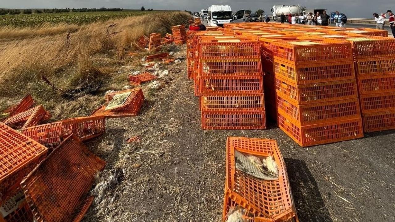 Tavuk yüklü kamyon devrildi: 3 yaralı