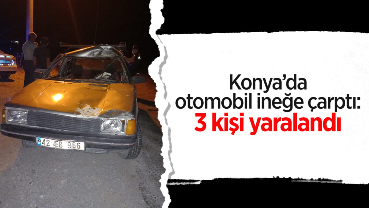 Konya'da bir otomobil ineğe çarptı: 3 yaralı
