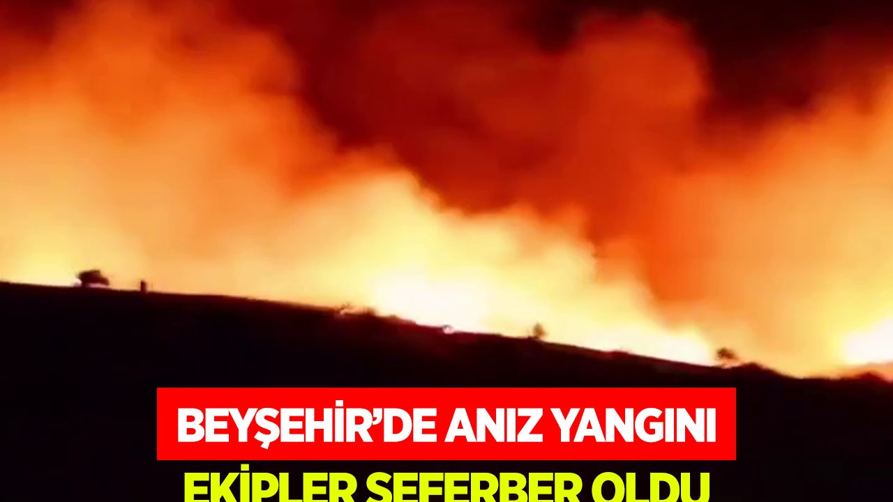 Konya Beyşehir’de korkutan yangın