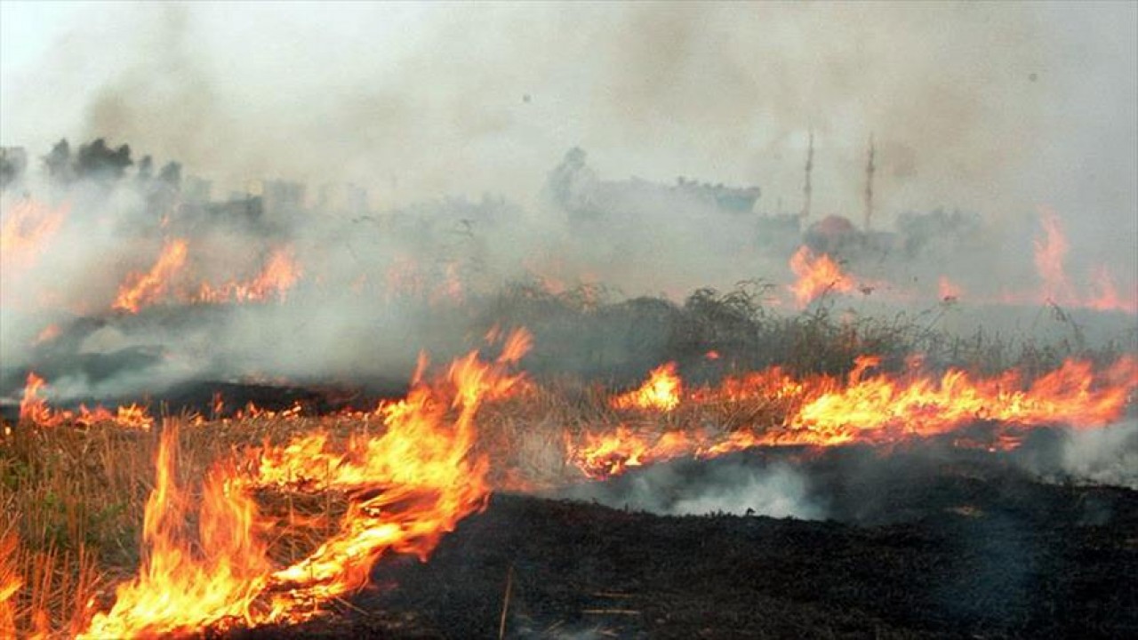 Beyşehir İlçe Tarım ve Orman Müdürlüğü, anız yangınları konusunda vatandaşı uyardı