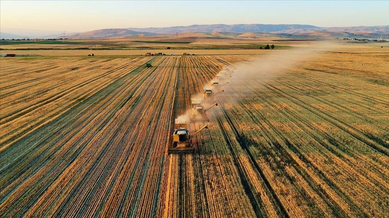 Türkiye’de 27 milyon hektar tarım alanı 23 milyonun altına düştü