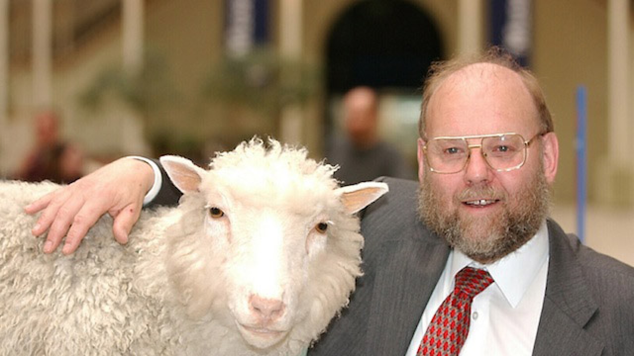 Koyun Dolly’i klonlayan bilim insanı Ian Wilmut hayatını kaybetti