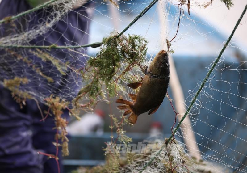 Beyşehir Gölü’nde balık avı