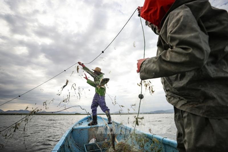 Beyşehir Gölü’nde balık avı