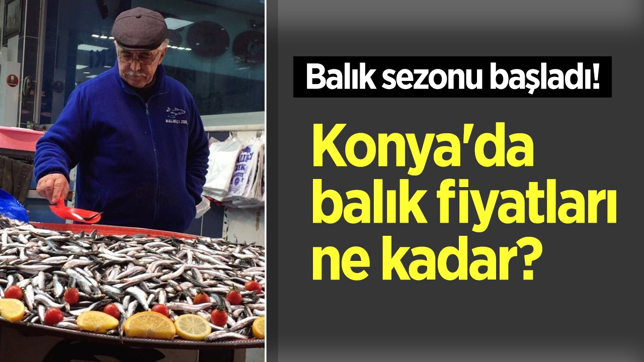 Balık sezonu başladı! Konya’da balık fiyatları ne kadar?