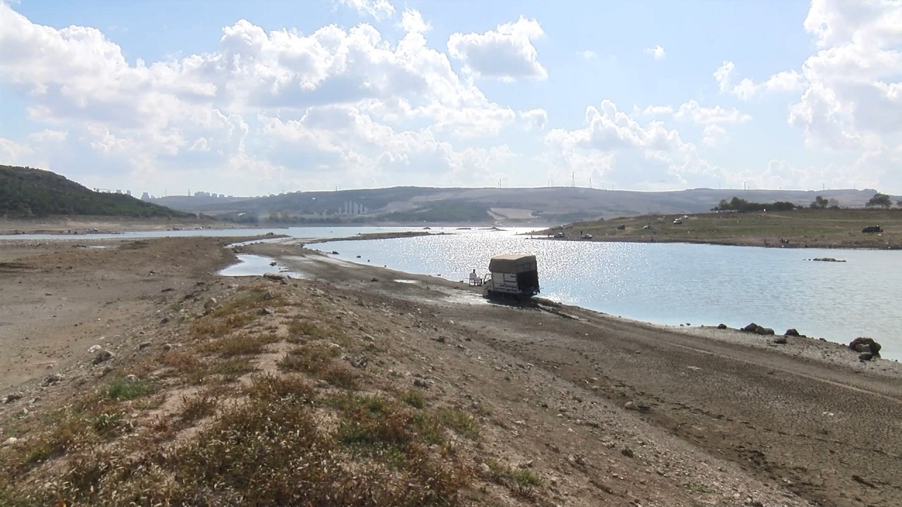 Göç yolundaki leylekleri silahla vurdular