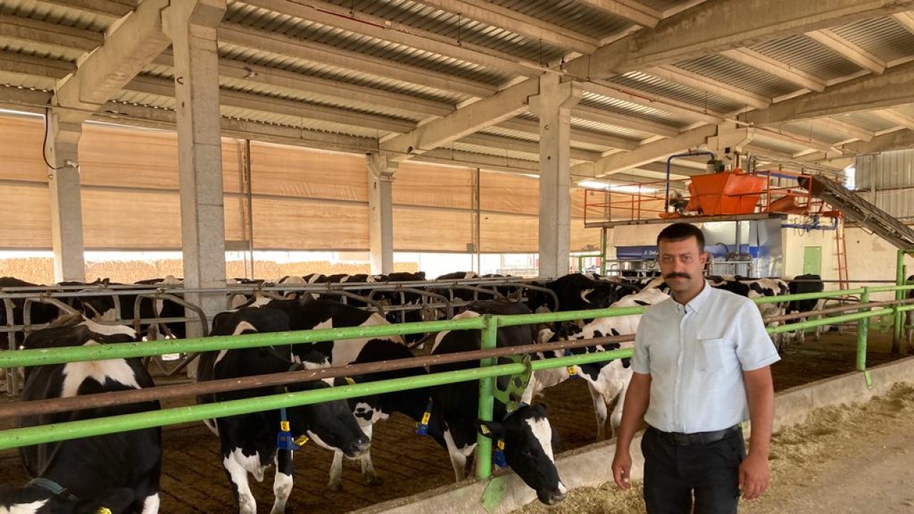 Konya'da robotik sistemli süt tesisi kurdu! Kendi elektriğini de üretiyor