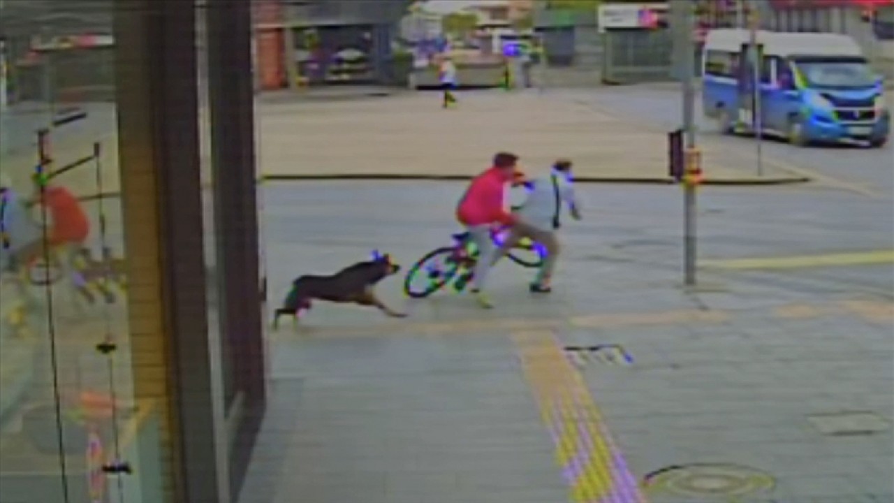 Sahipsiz köpekten kaçan bisikletli çocuğun yayaya çarpması kamerada