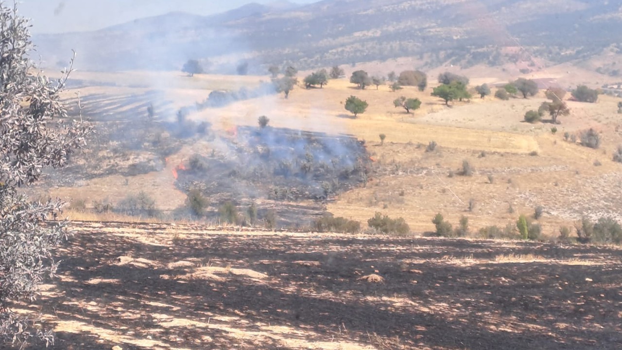 Konya’da anız yangını ormanlık alana sıçradı