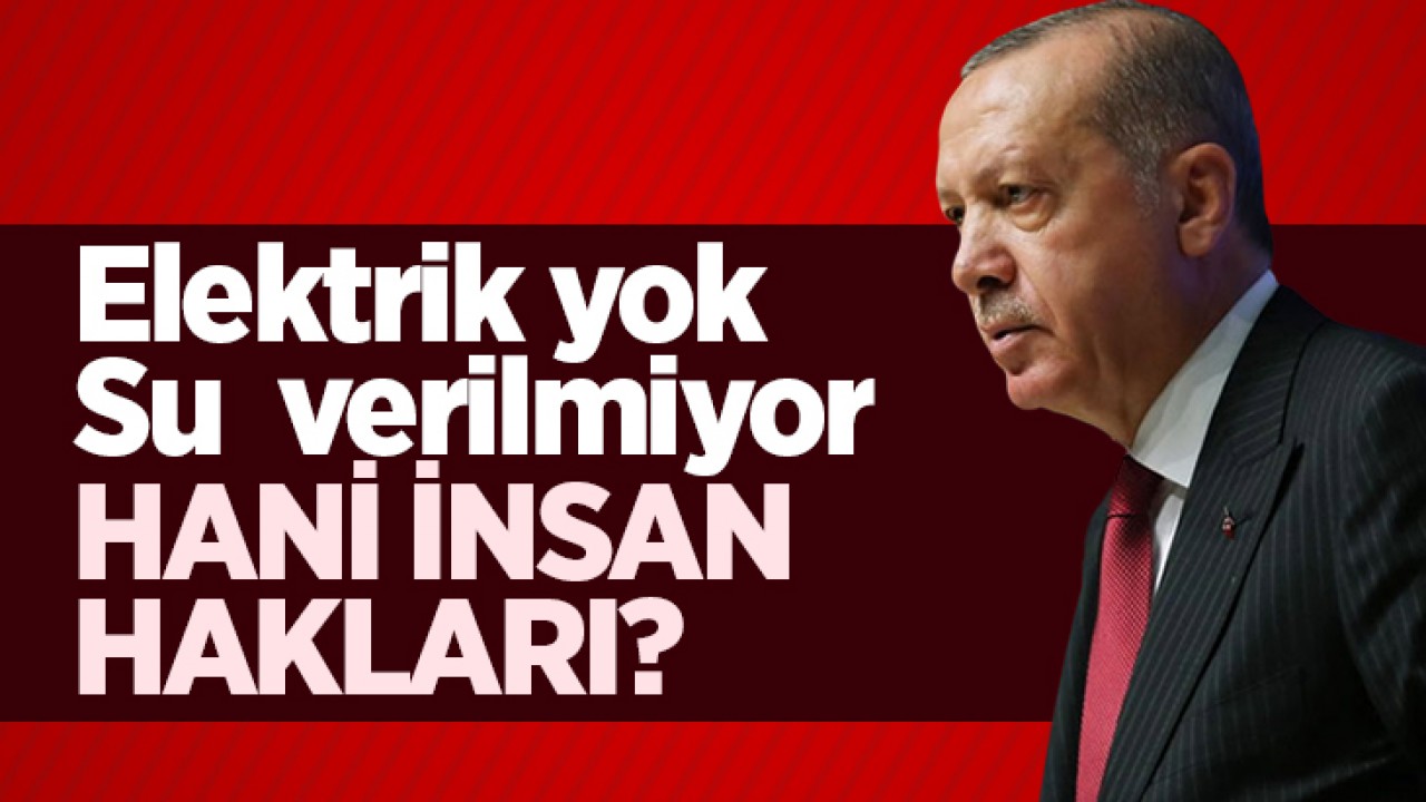 Cumhurbaşkanı Erdoğan, Putin ile İsrail-Filistin çatışmasını görüşecek