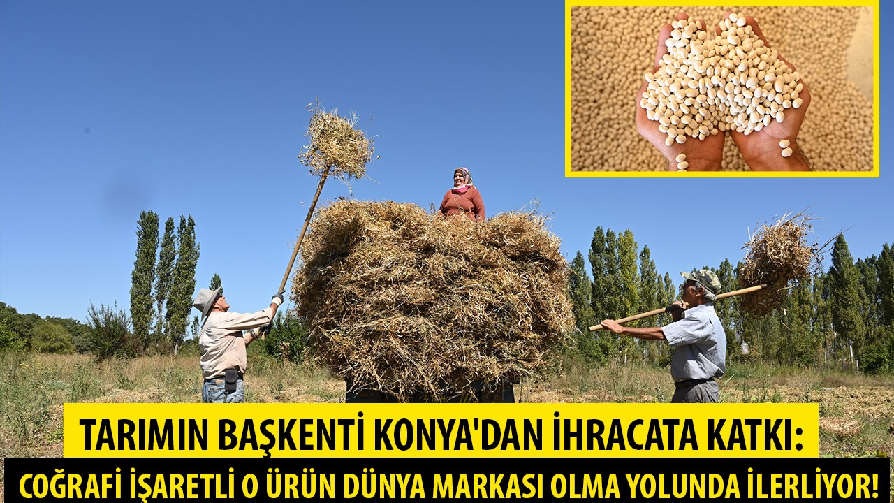 Tarımın başkenti Konya'dan ihracata katkı: Coğrafi işaretli ürün dünya markası olma yolunda ilerliyor!