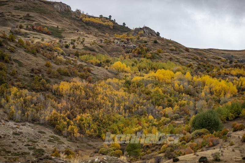 Kop Dağı’nda sonbahar