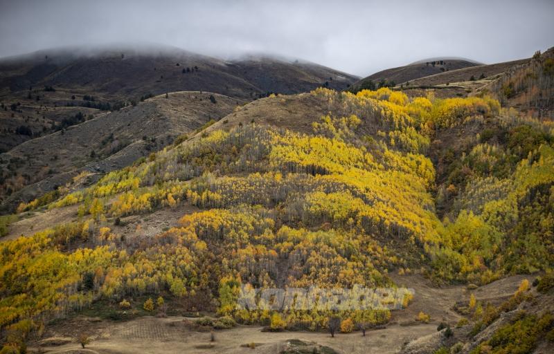 Kop Dağı’nda sonbahar