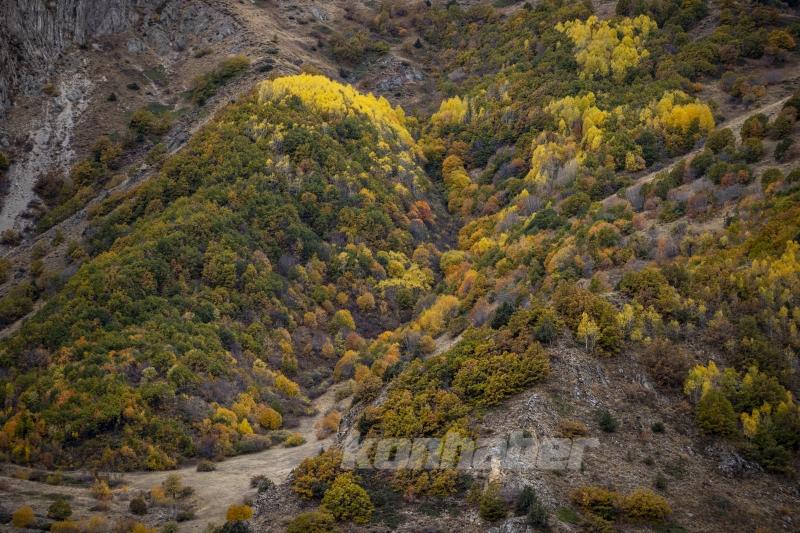 Kop Dağı’nda sonbahar