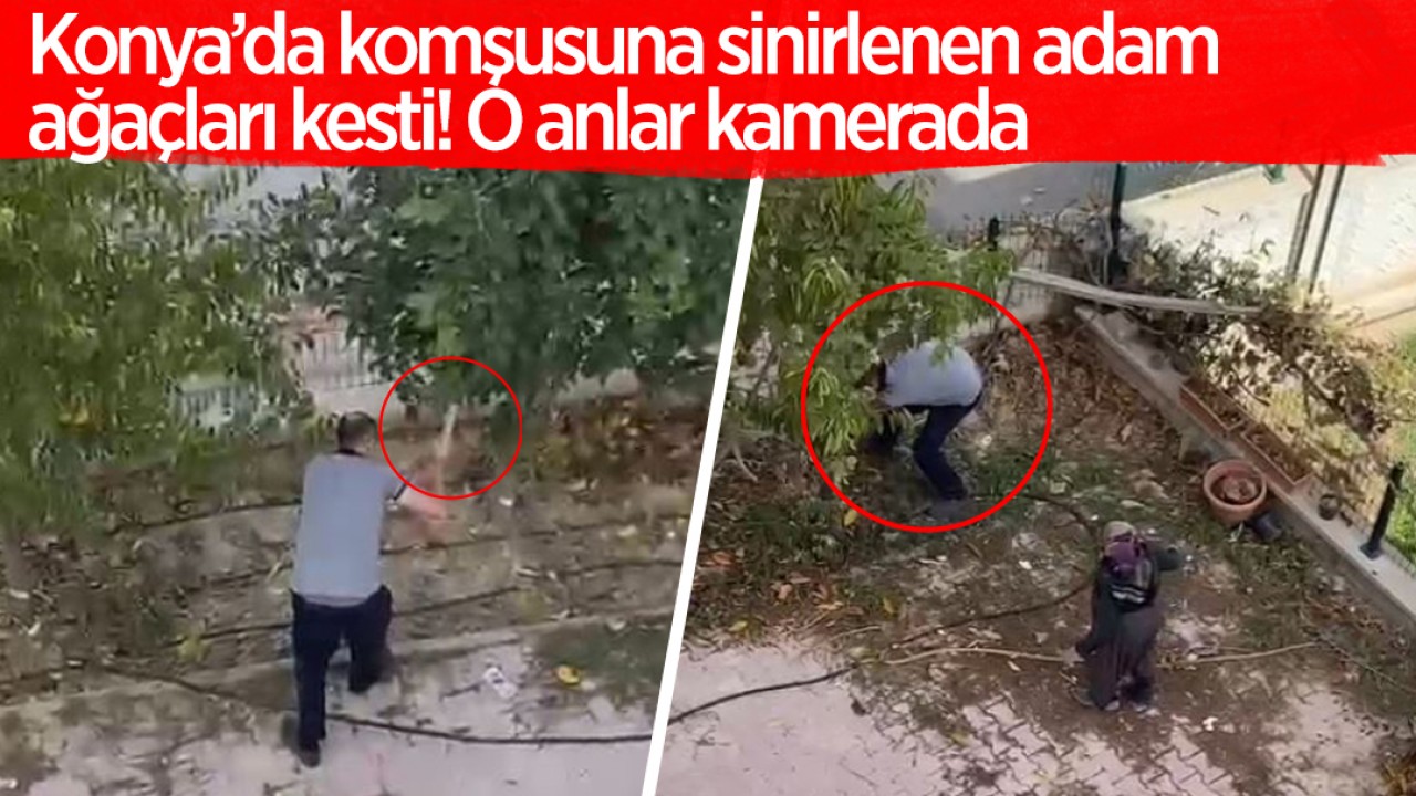Konya’da komşusuna sinirlenen adam ağaçları kesti! O anlar kamerada