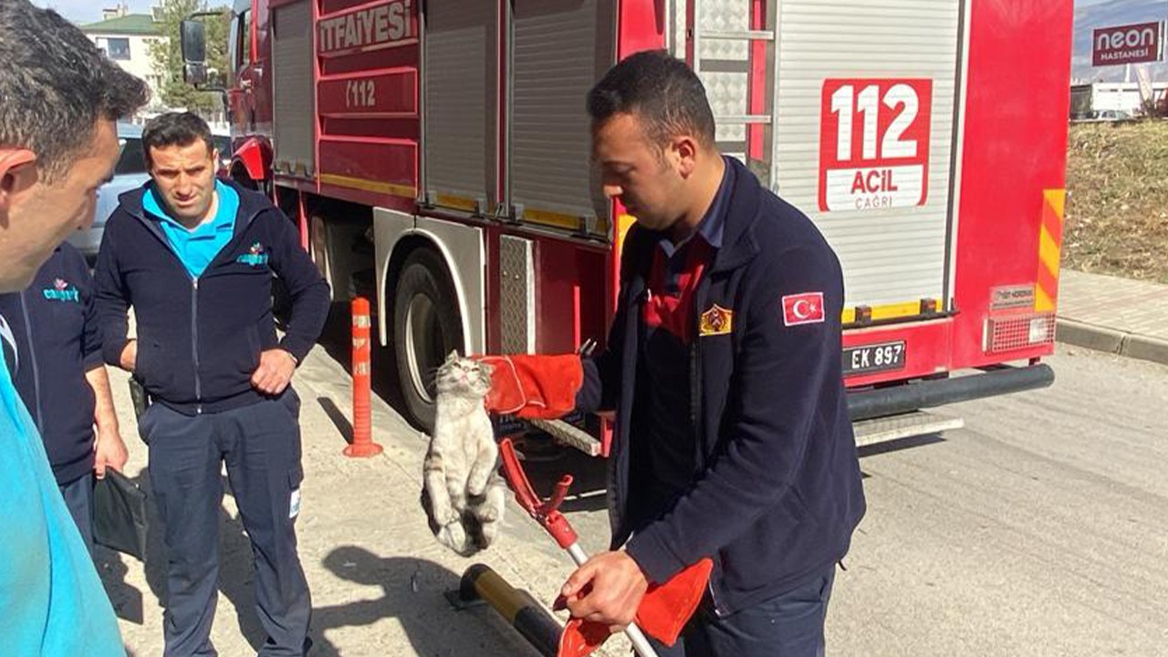 Havalandırma boşluğuna düşen kediyi itfaiye ekipleri kurtardı