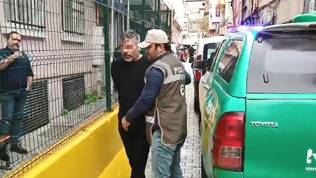 Çantasına kedi koyarak giden şüphelinin evinde ölü kediler bulundu