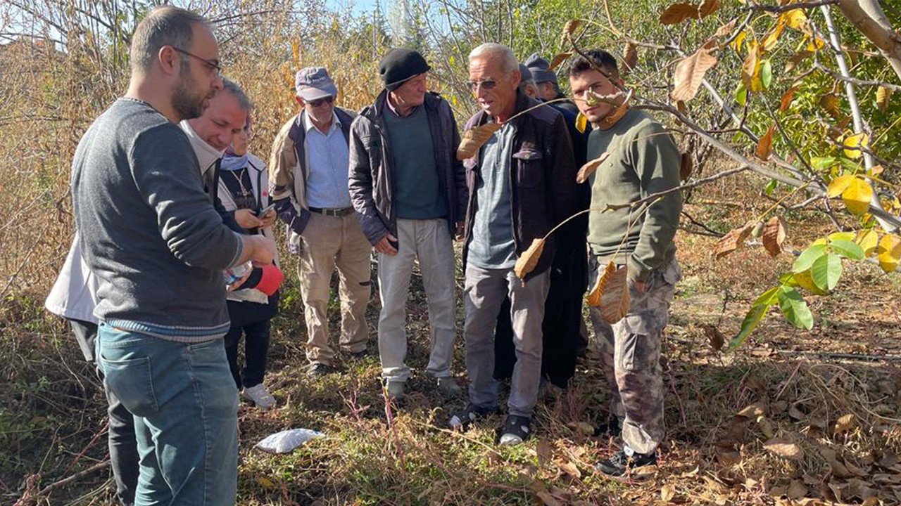 Beyşehir'de tarla faresi ile mücadelede seferberlik