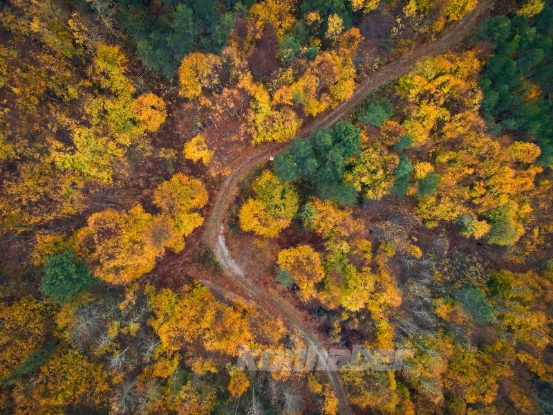 Domaniç Dağları’ndaki kıvrımlı yollar sonbaharın renkleriyle buluştu