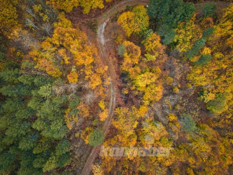 Domaniç Dağları’ndaki kıvrımlı yollar sonbaharın renkleriyle buluştu