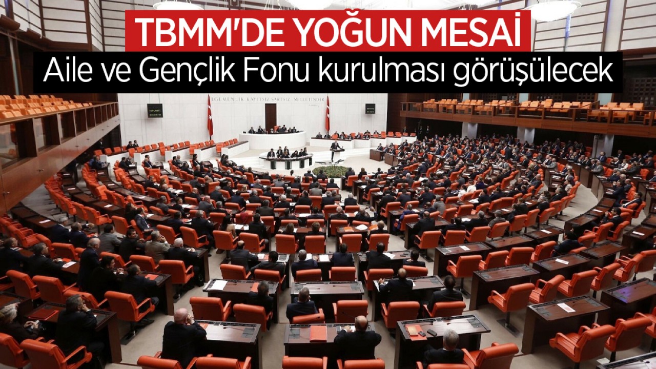 Aile ve Gençlik Fonu kurulması Meclis'te görüşülecek