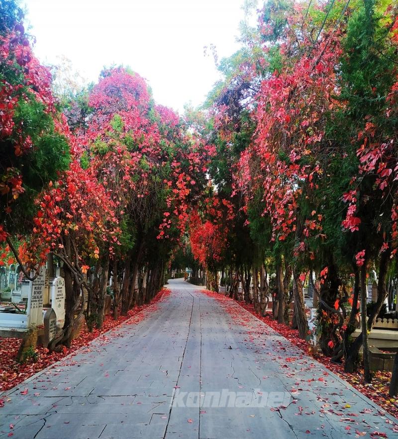 Karatay’ın parklarında sonbahar tüm renkleriyle yaşanıyor