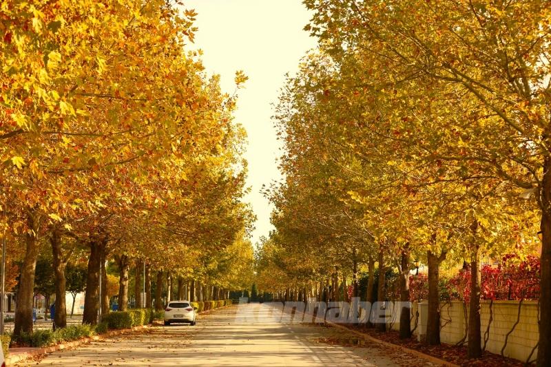 Karatay’ın parklarında sonbahar tüm renkleriyle yaşanıyor